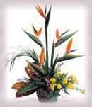 Lush Tropical Arrangements